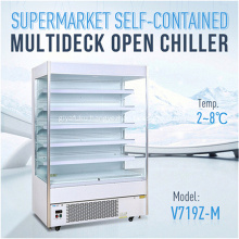 Commercial Fresh Vegetable Meat Coolers Standing Freezer